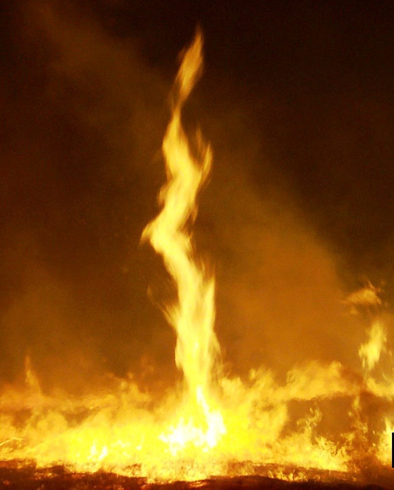 The Science Community Struggles to Keep Pace (image credits: wikimedia)