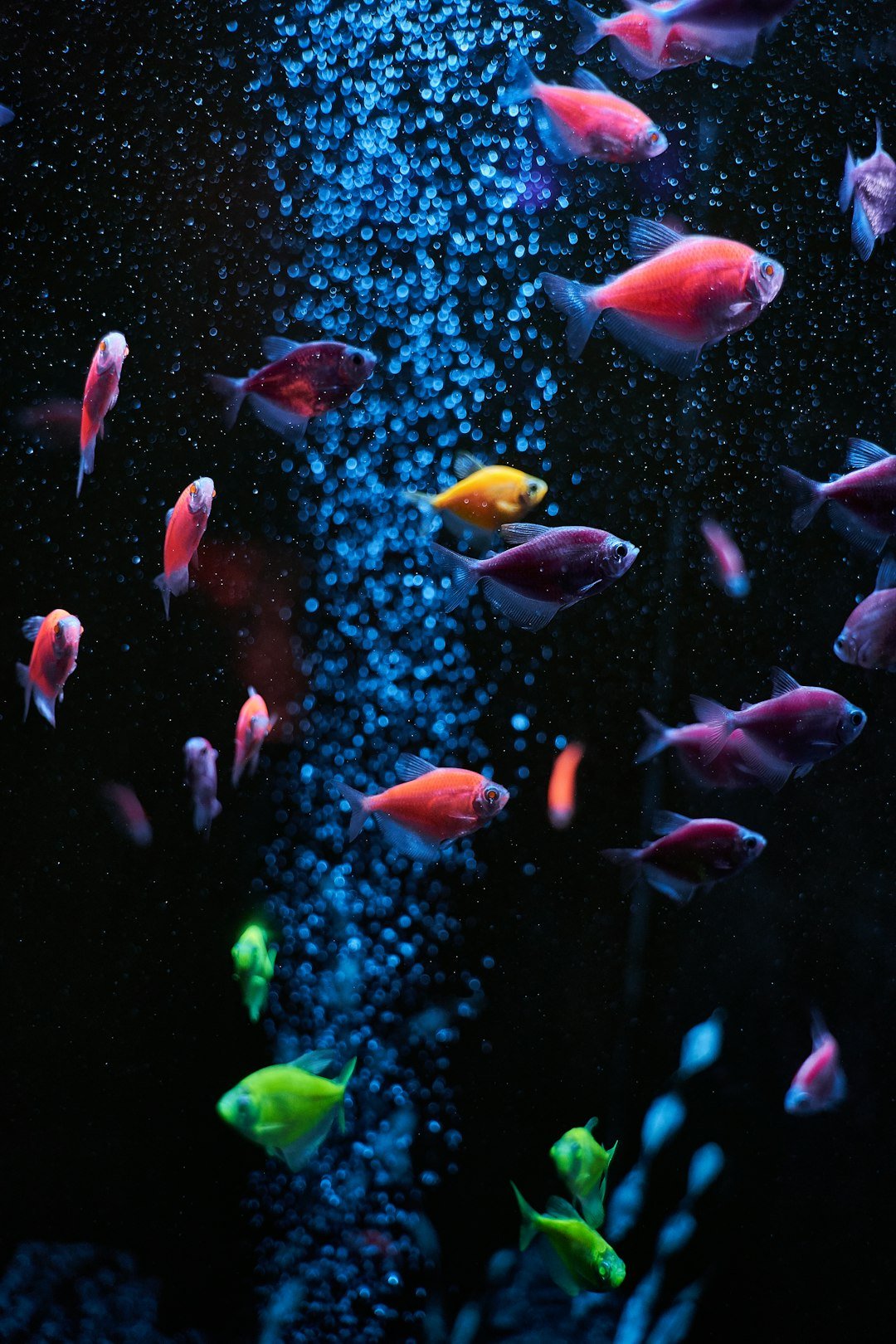 Global Perspectives (image credits: unsplash)