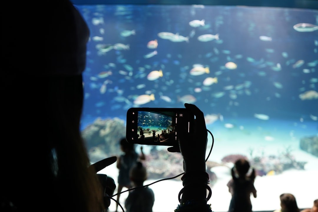 The Future Landscape (image credits: unsplash)