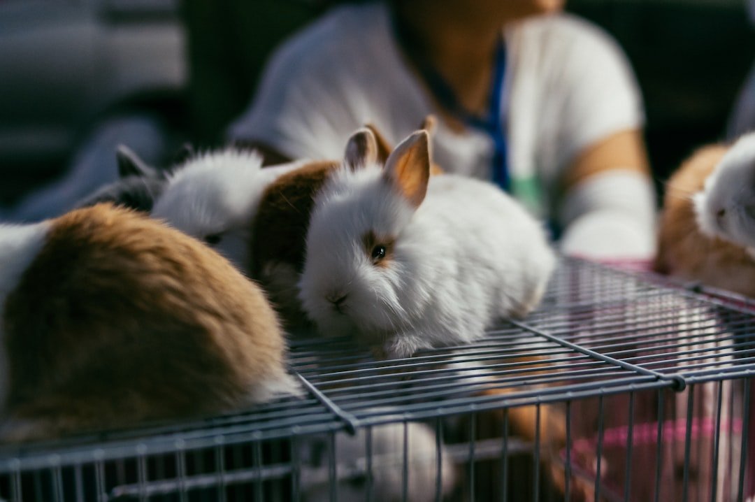 Global Perspectives (image credits: unsplash)