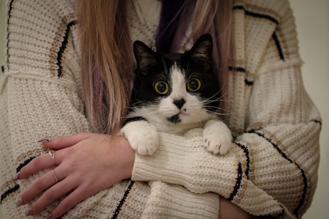 Conclusion: Finding Your Feline Soulmate (image credits: unsplash)