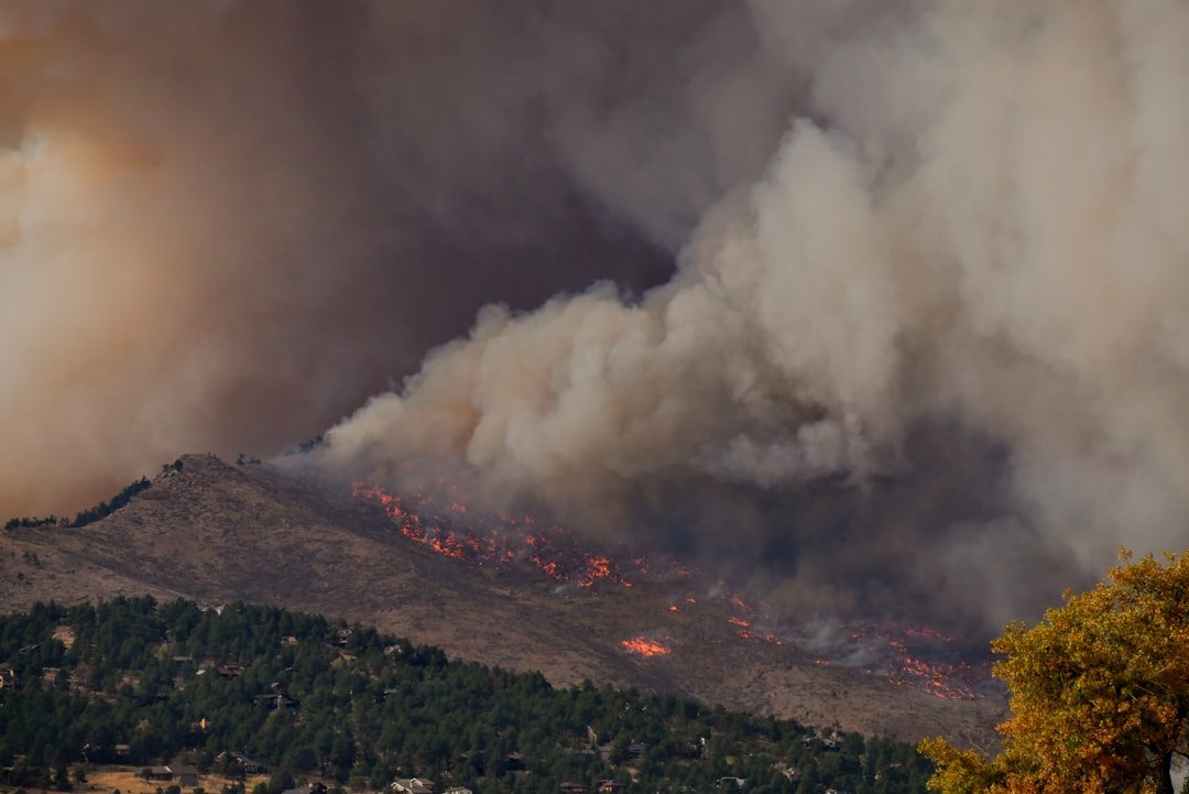 The New Fire Behavior (image credits: unsplash)