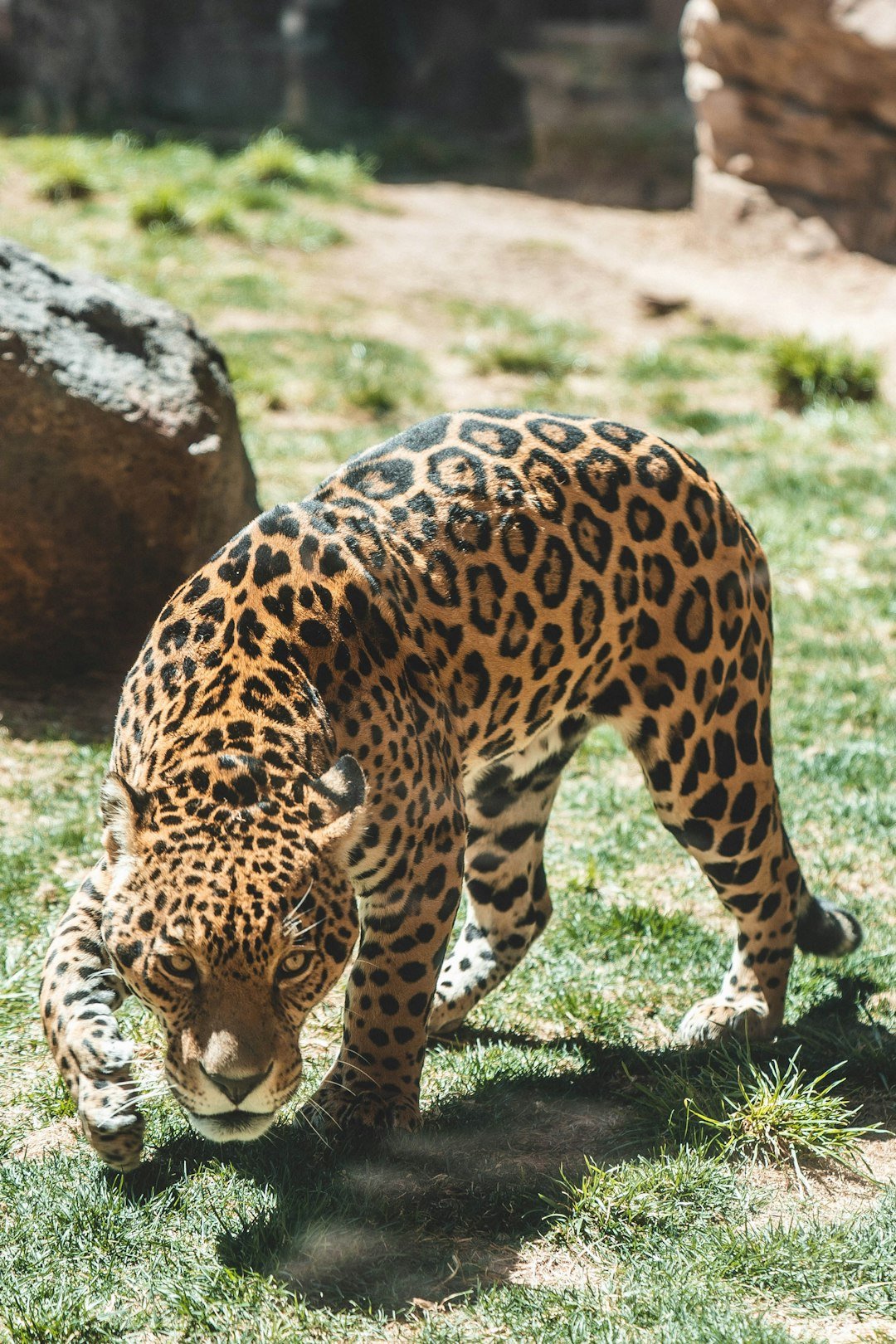 The Hidden Clues (image credits: unsplash)