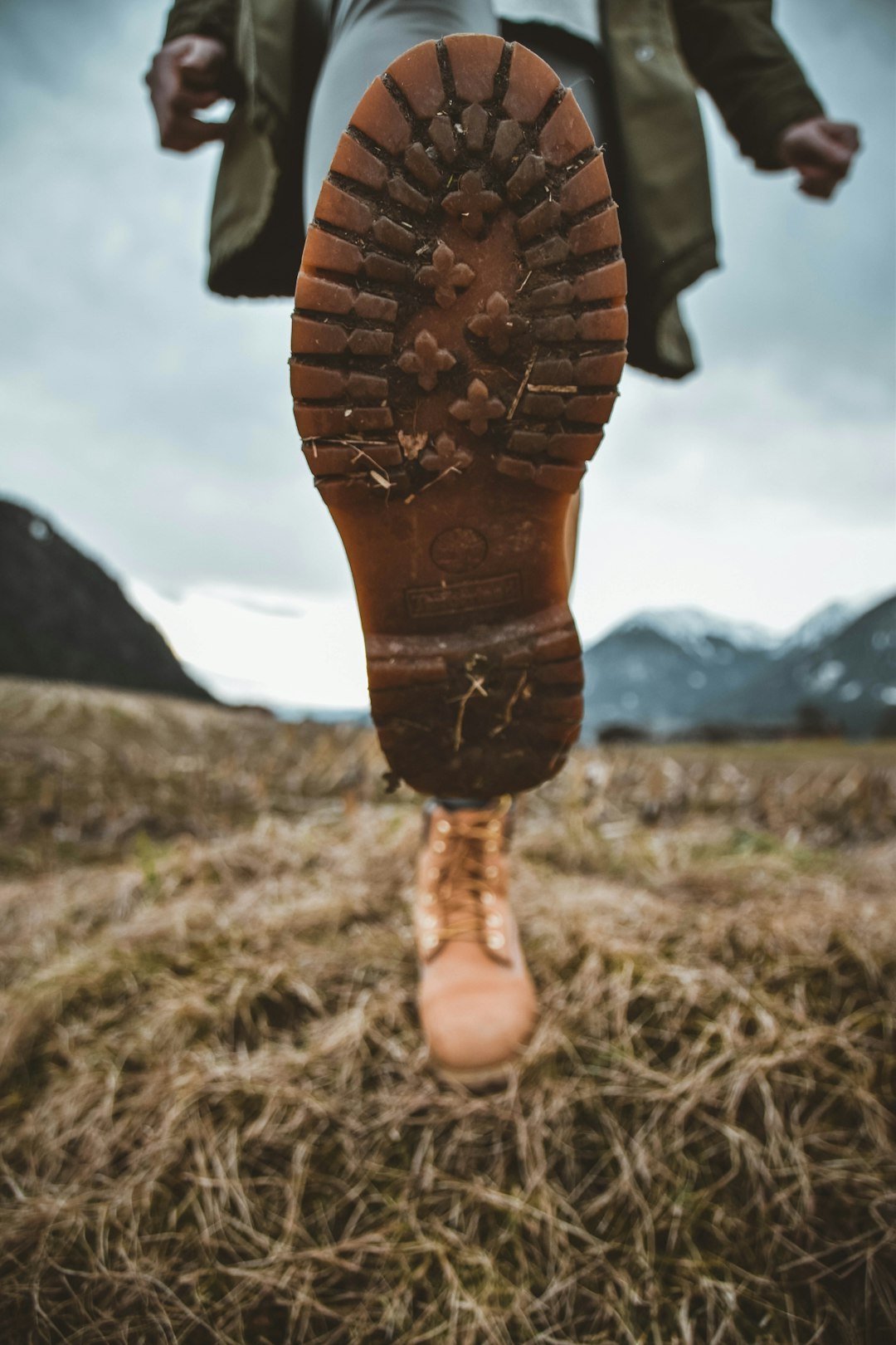 The Hidden Clues (image credits: unsplash)