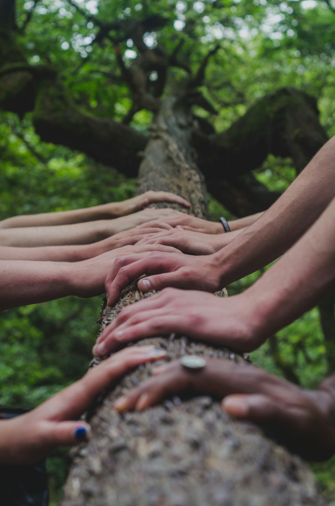 Archetypes in the Field: Matching Traits to Roles (image credits: unsplash)