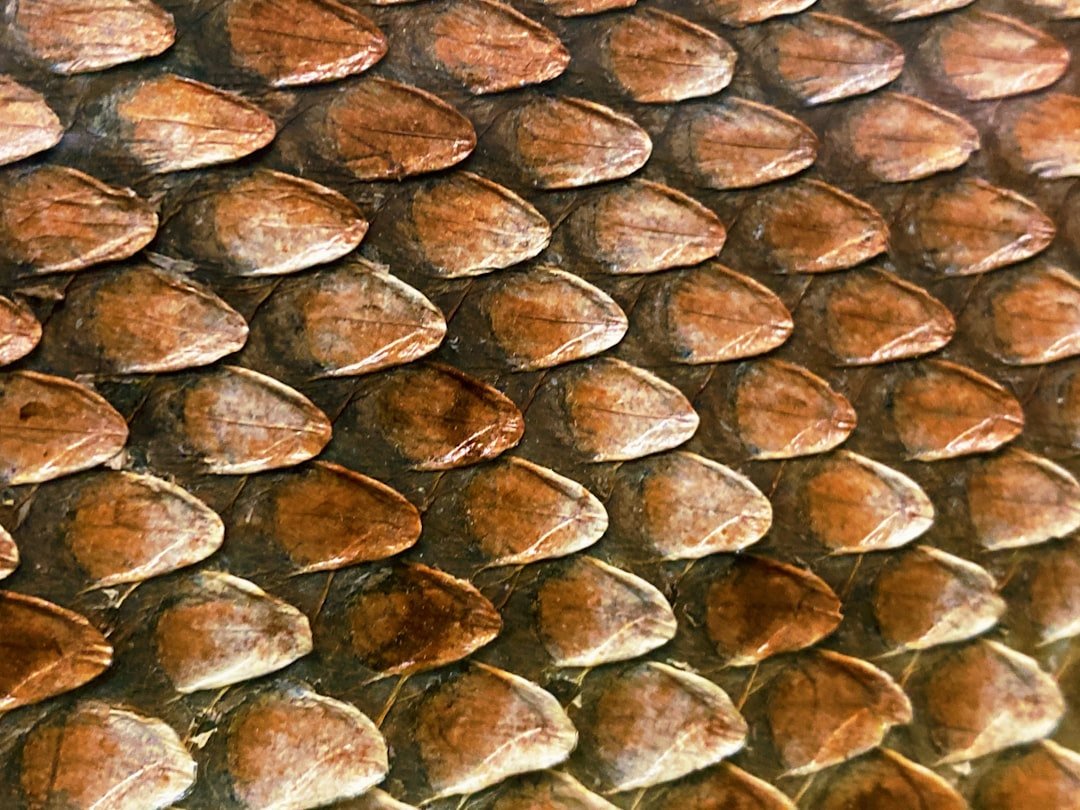 Libra’s Scales, Pangolin’s Armor (image credits: unsplash)
