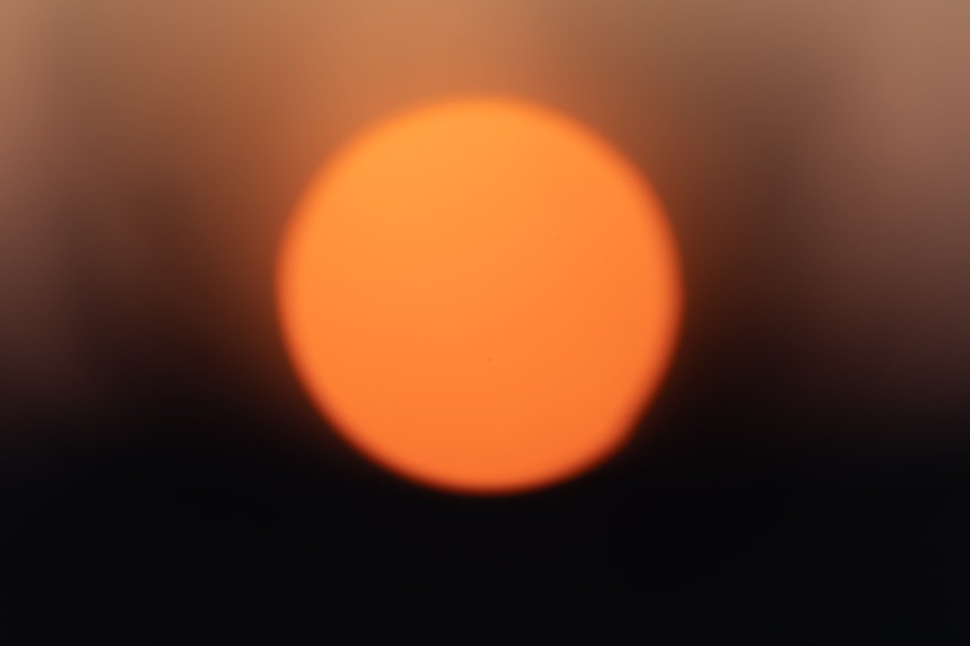 2024: Recent Scorching Continues the Trend (image credits: unsplash)