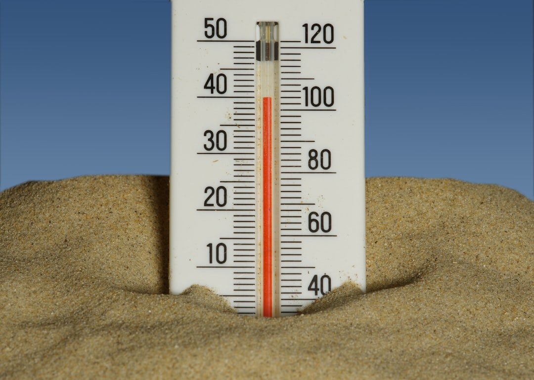 1995: Urban Heat and the Chicago Tragedy (image credits: unsplash)