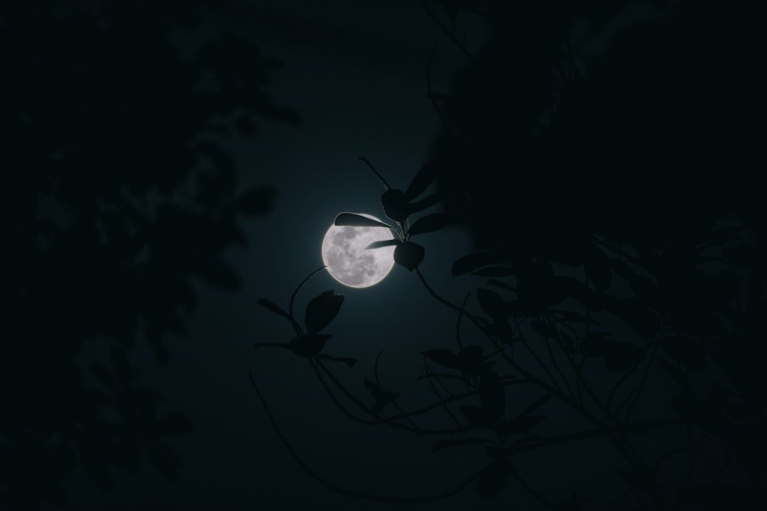 The Moon's Surprising Effect on Human Sleep (image credits: unsplash)