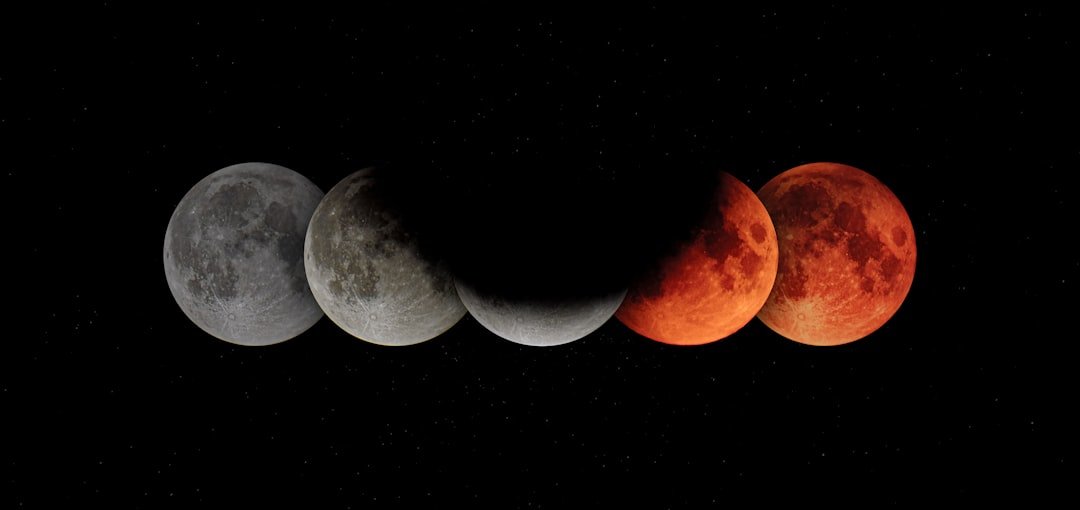 Menstrual Cycles and Lunar Synchronization (image credits: unsplash)
