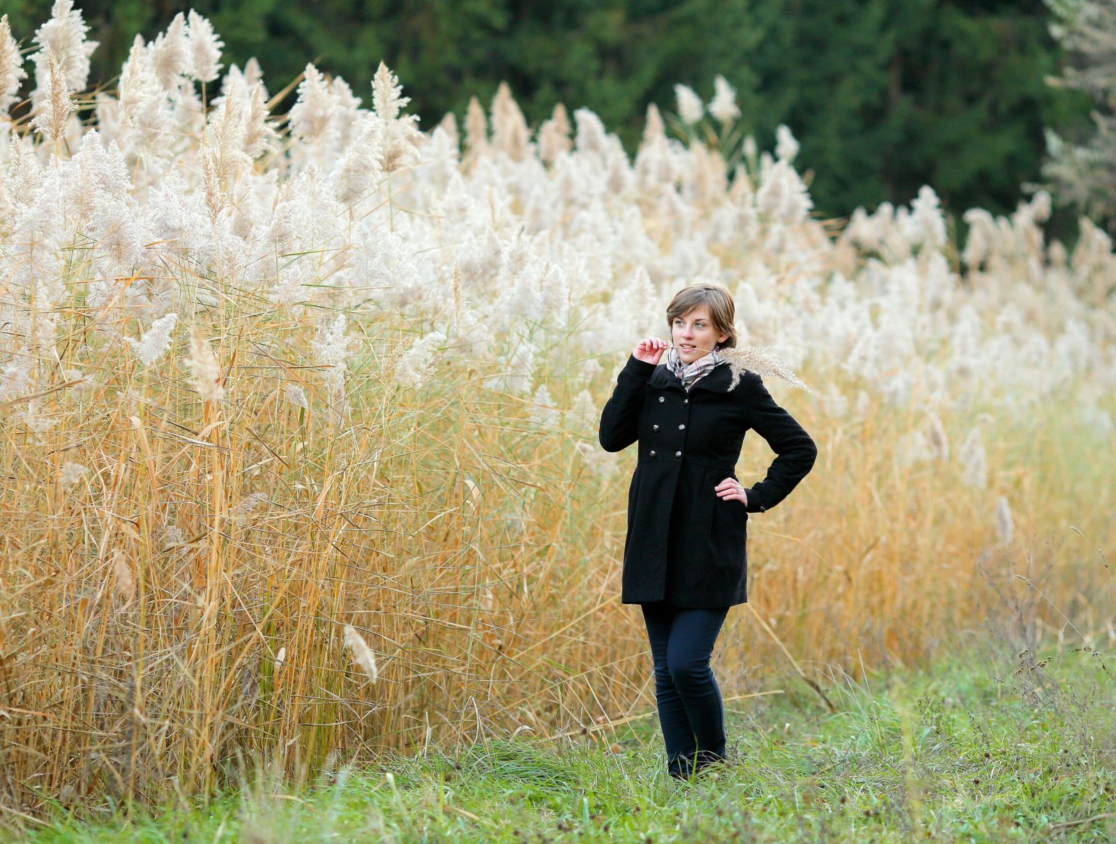 Seasonal Patterns and Mood Regulation (image credits: By Vladimir Pustovit, CC BY 2.0, https://commons.wikimedia.org/w/index.php?curid=91140306)