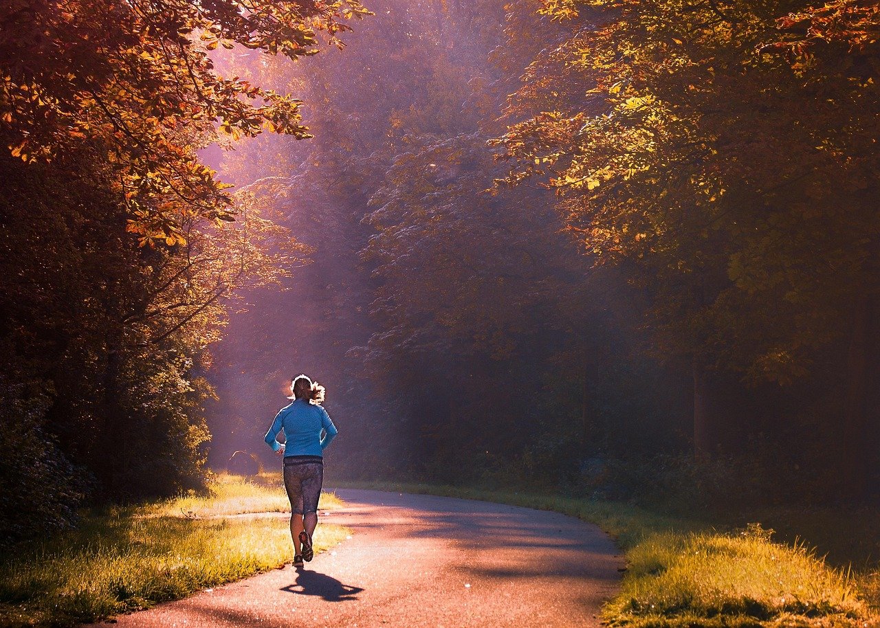 The Timing of Human Activity Patterns (image credits: pixabay)