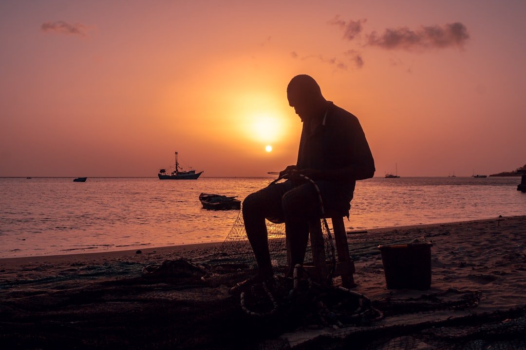 Long-term Consequences and Adaptation (image credits: unsplash)