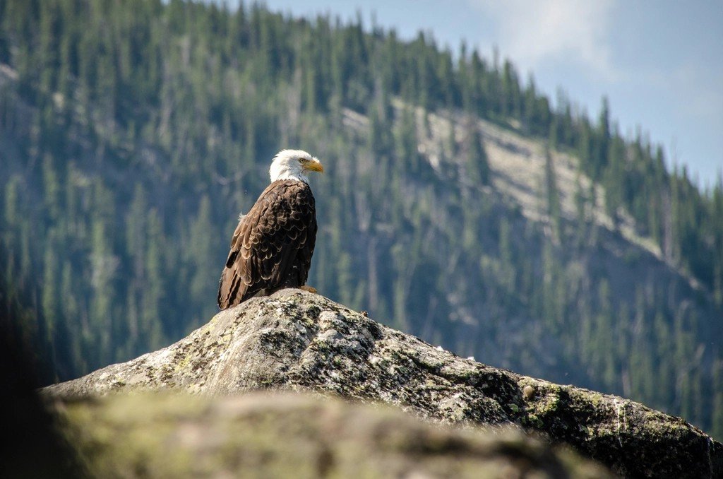 Minds in the Storm: Behavior That Outsmarts Weather (image credits: rawpixel)