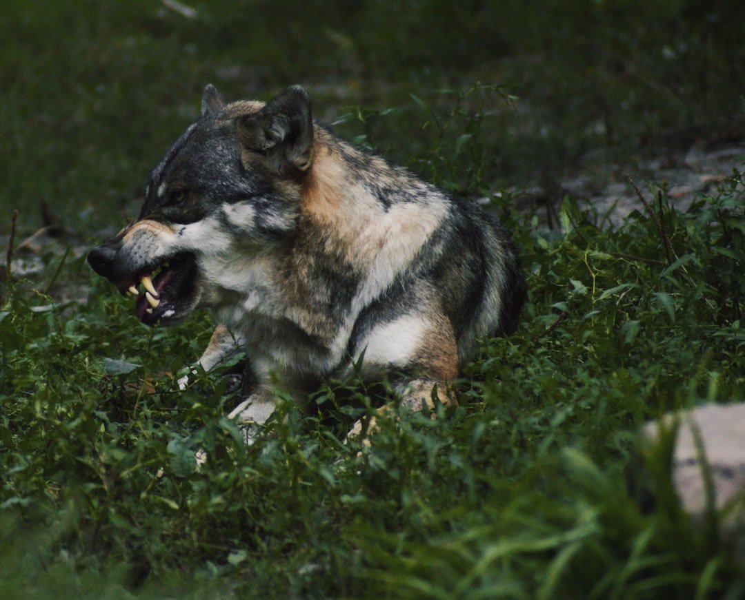 What To Do In The Moment (image credits: unsplash)