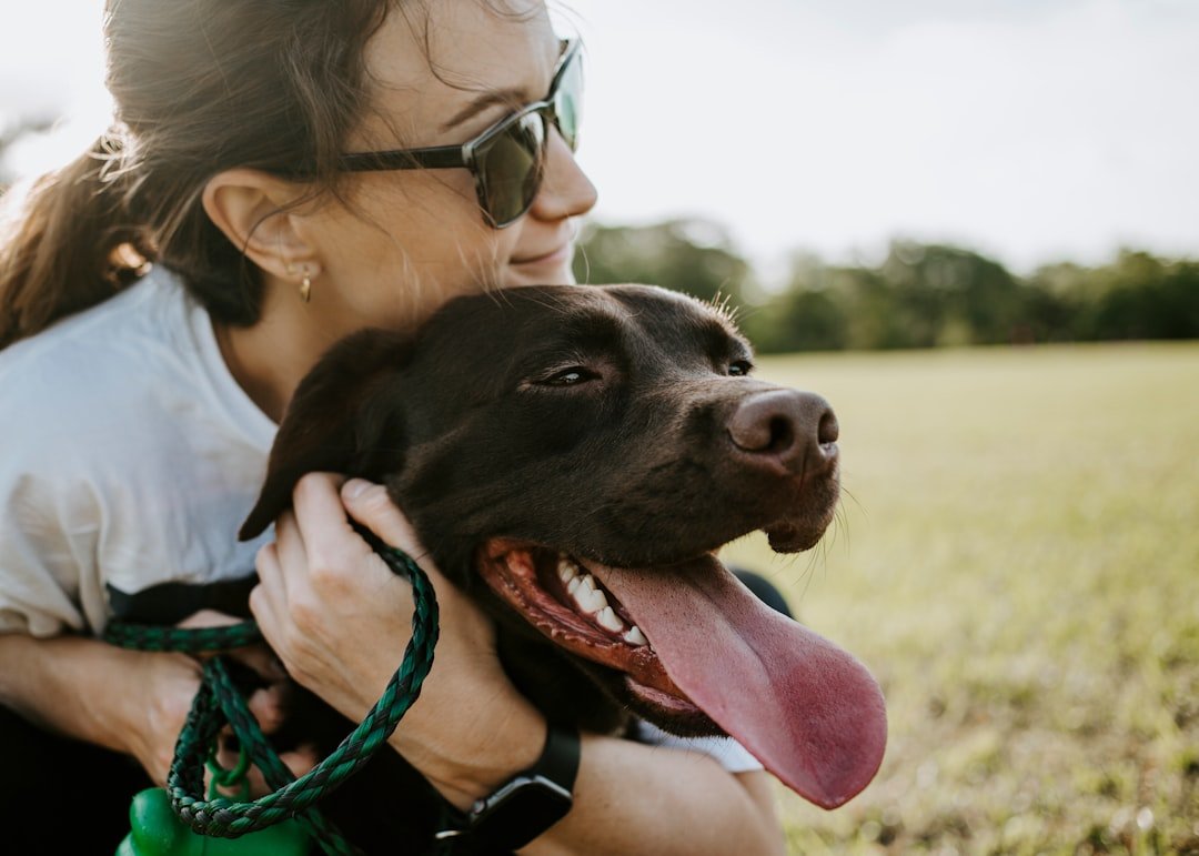 Dog - Loyalty Multiplied with Canine Companions (image credits: unsplash)