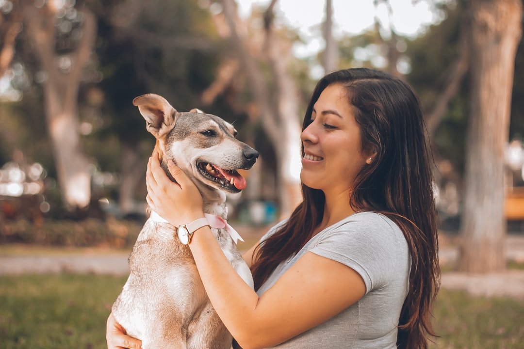 Understanding the Airy Nature of Zodiac Air Signs (image credits: unsplash)