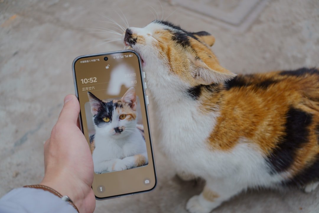 Tech-Savvy Pet Solutions for Modern Air Signs (image credits: unsplash)