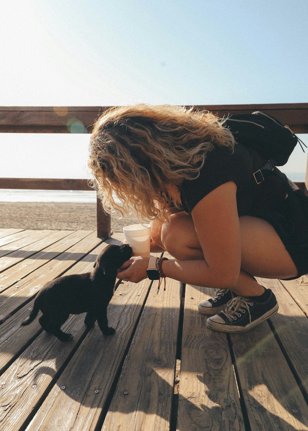The Hidden Clues (image credits: unsplash)