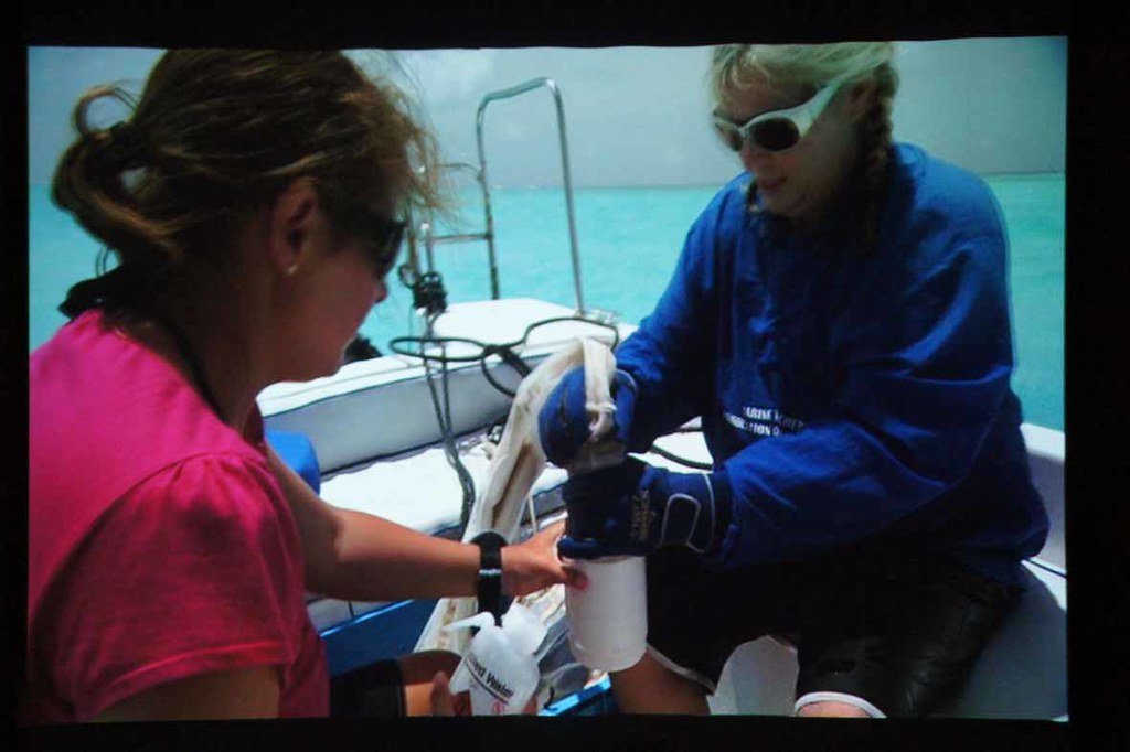 Temperature-Driven Navigation Systems (image credits: flickr)