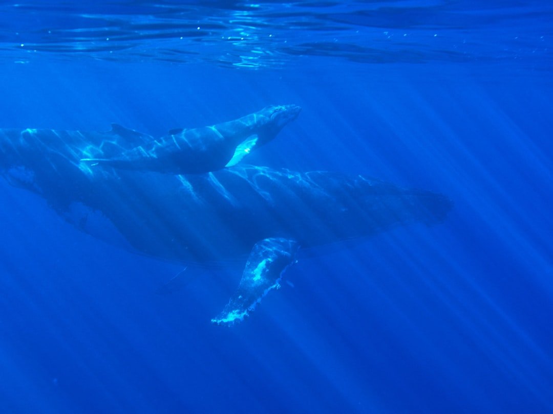 Deep Bonds and Family (image credits: unsplash)