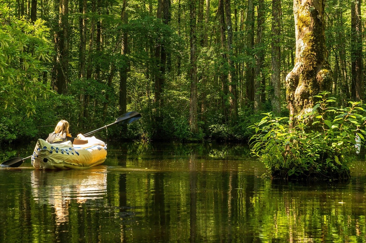 The Delta's Wildlife Paradise (image credits: pixabay)