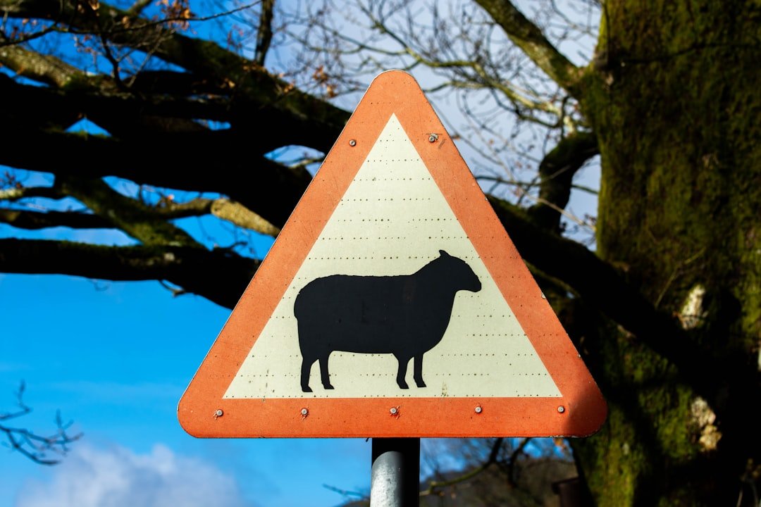 The Method: Mapping Signs to Species (image credits: unsplash)