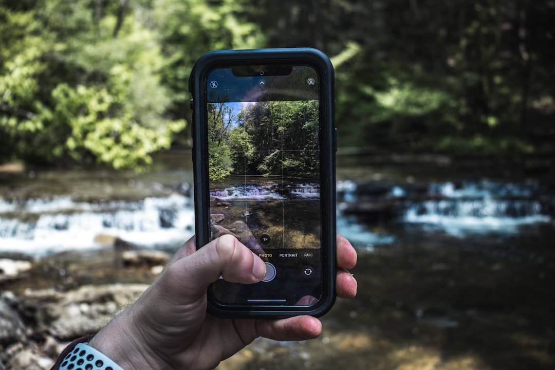 The Future Landscape (image credits: unsplash)
