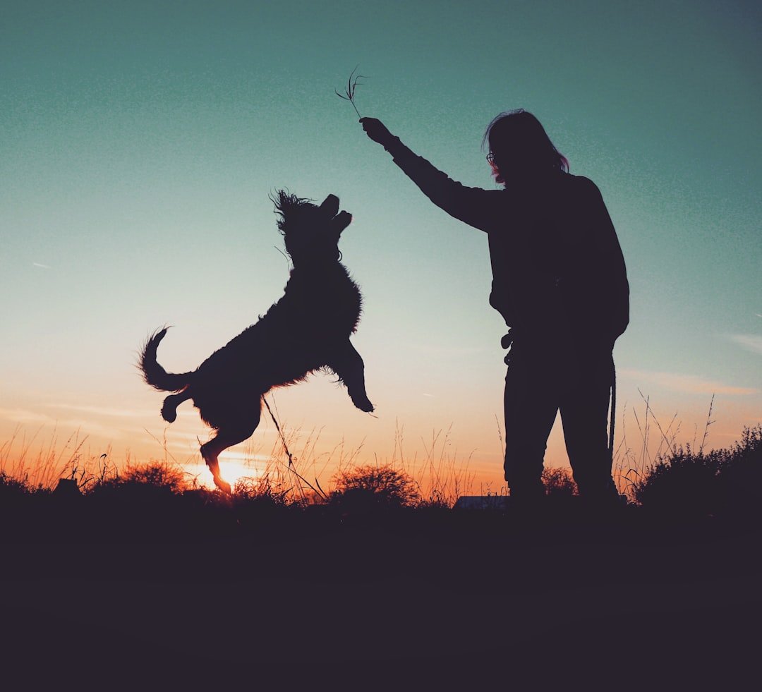 Sagittarius to Pisces: Curiosity, Discipline, and Calm (image credits: unsplash)