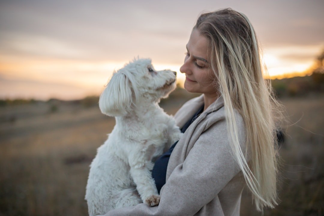 The Loyalty Lab (image credits: unsplash)