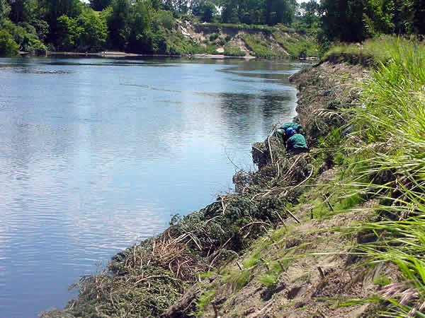 What the Rivers Actually Did (image credits: wikimedia)