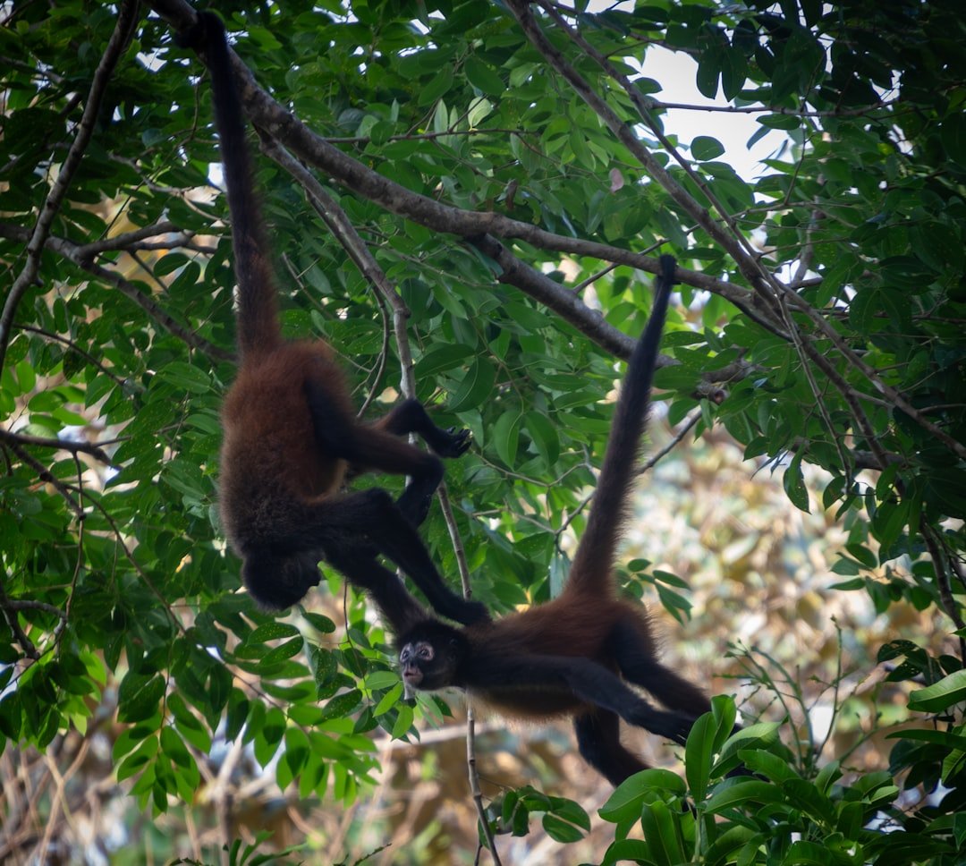 The Hidden Clues (image credits: unsplash)