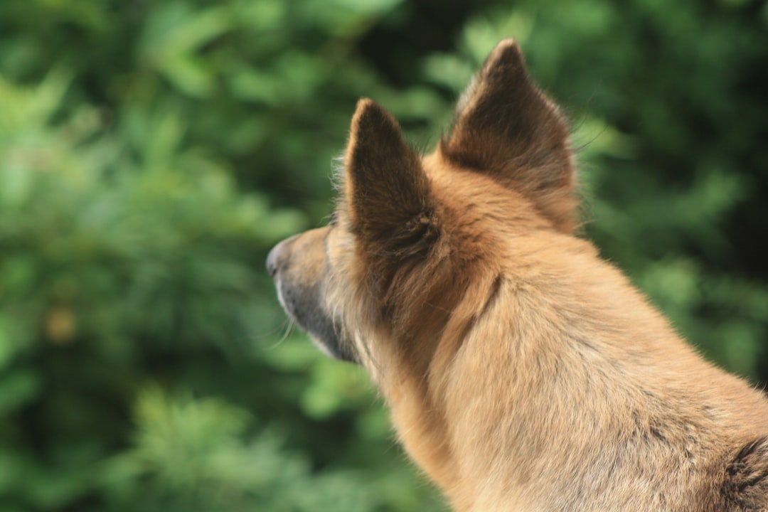 Why It Matters (image credits: unsplash)