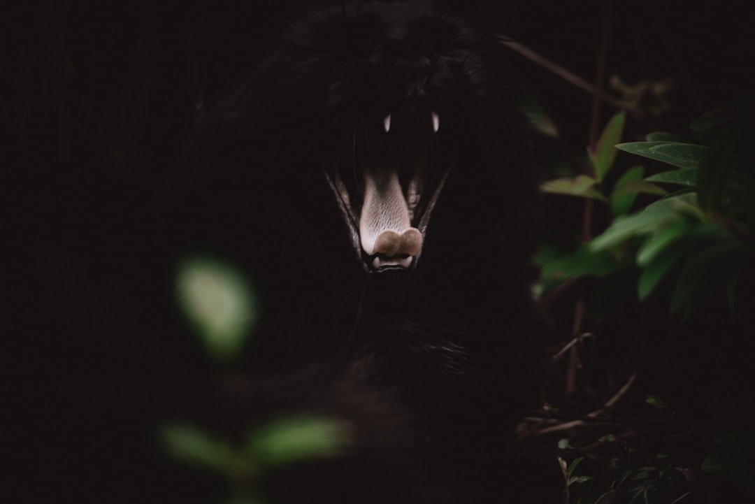 The Hidden Clues (image credits: unsplash)