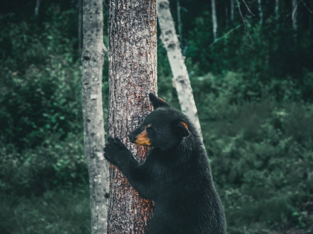 Why It Matters (image credits: unsplash)