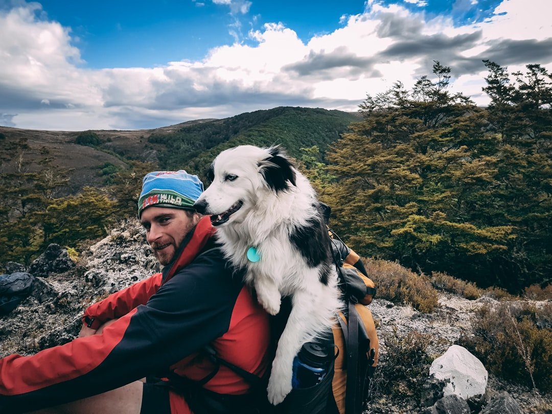 Sagittarius: The Adventure Buddy (image credits: unsplash)