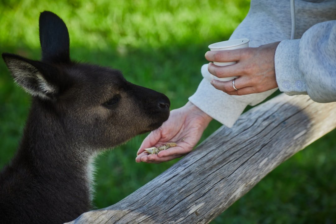 Capricorn: The Responsible Guardian (image credits: unsplash)