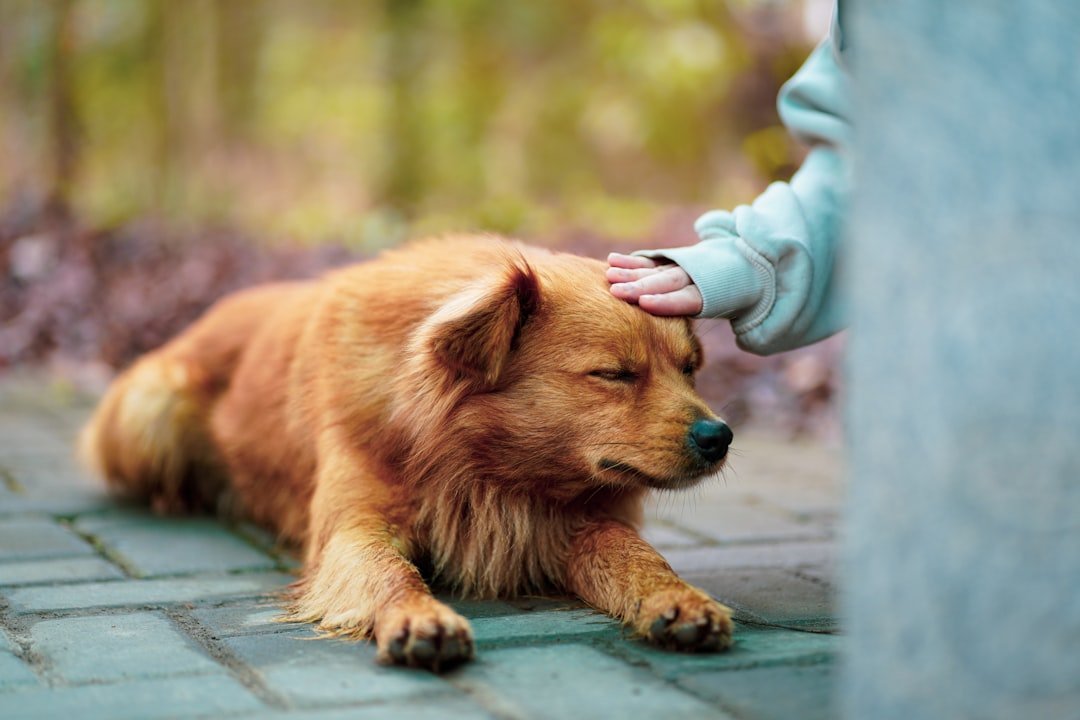The Scientific Foundation of Zodiac-Animal Connections (image credits: unsplash)
