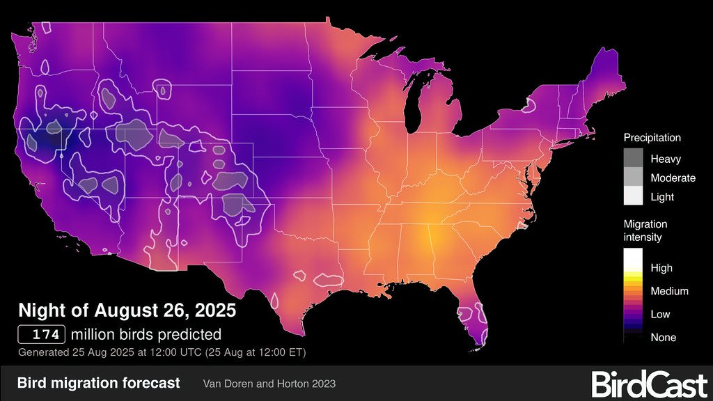 BirdCast Brings AI Migration to Everyone (image credits: flickr)