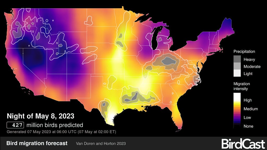 Machine Learning Predicts Future Migrations (image credits: flickr)