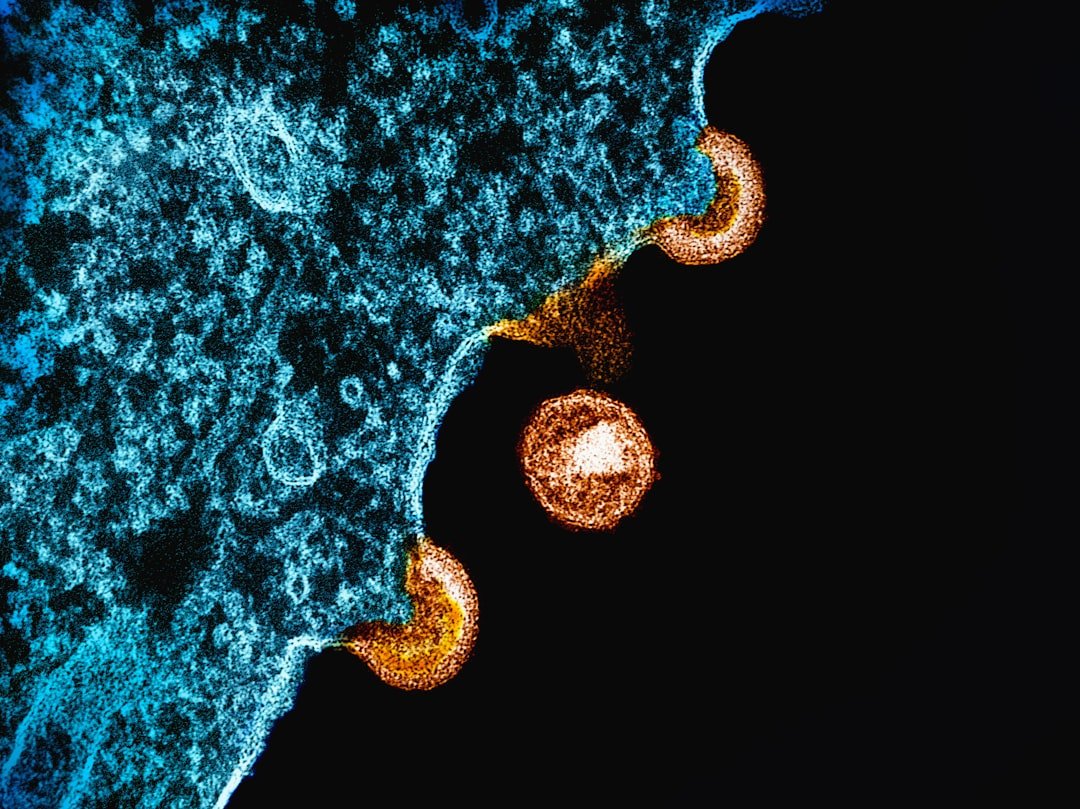 The Natural Immunity Blueprint Scientists Are Copying (image credits: unsplash)