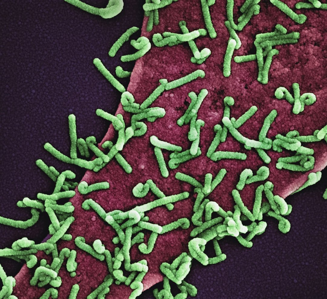 Engineering Bacteria as Living Antiviral Factories (image credits: unsplash)