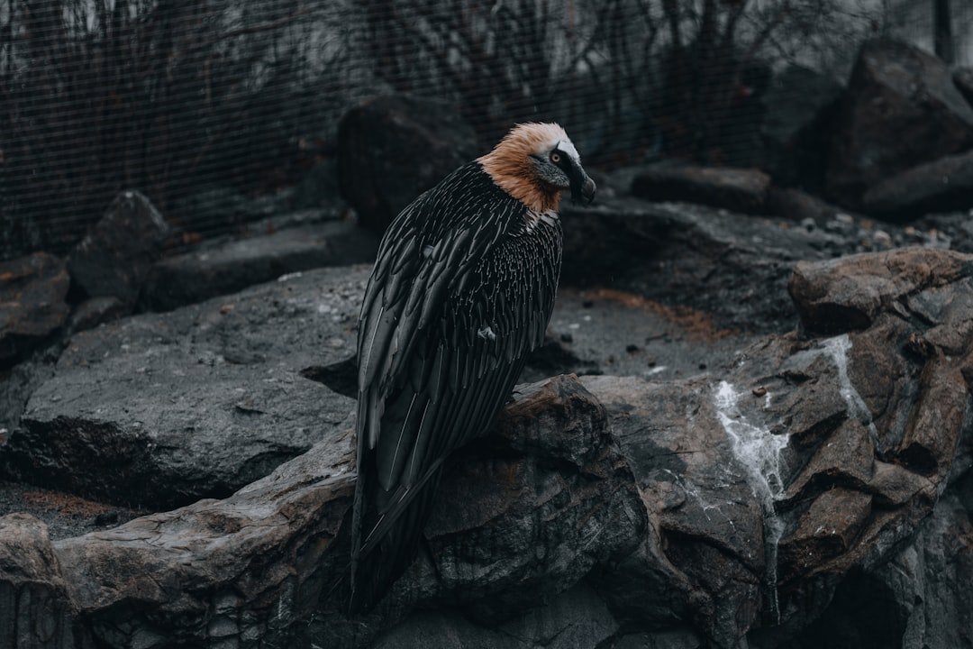 What You Can Do Right Now (image credits: unsplash)