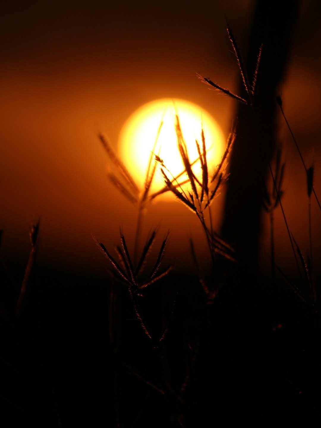 Heat, Health, and the Night That Won't Cool (image credits: unsplash)