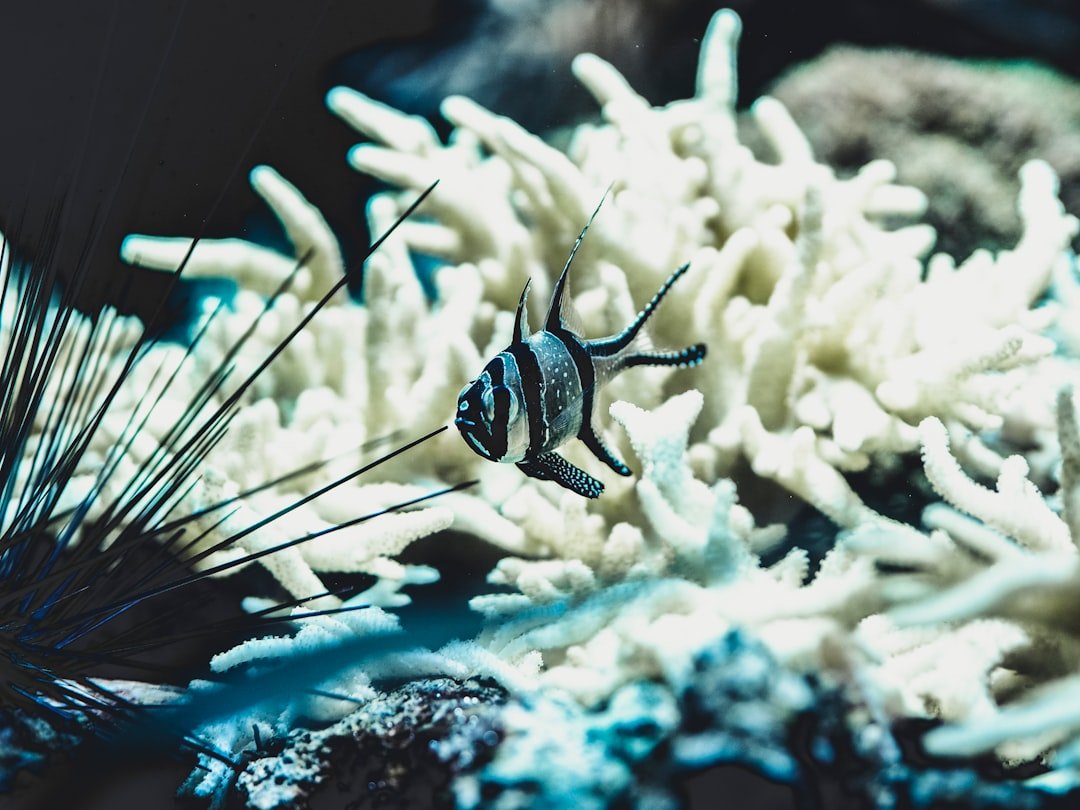 The Hidden Clues (image credits: unsplash)