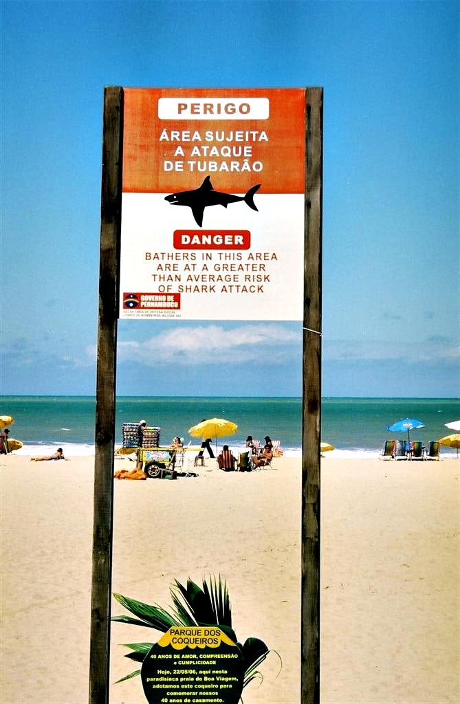 People and Predators Share a Beach (image credits: wikimedia)