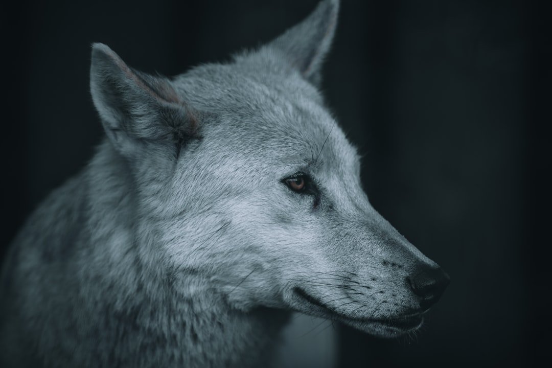 From Ancient Myths to Modern Science (image credits: unsplash)