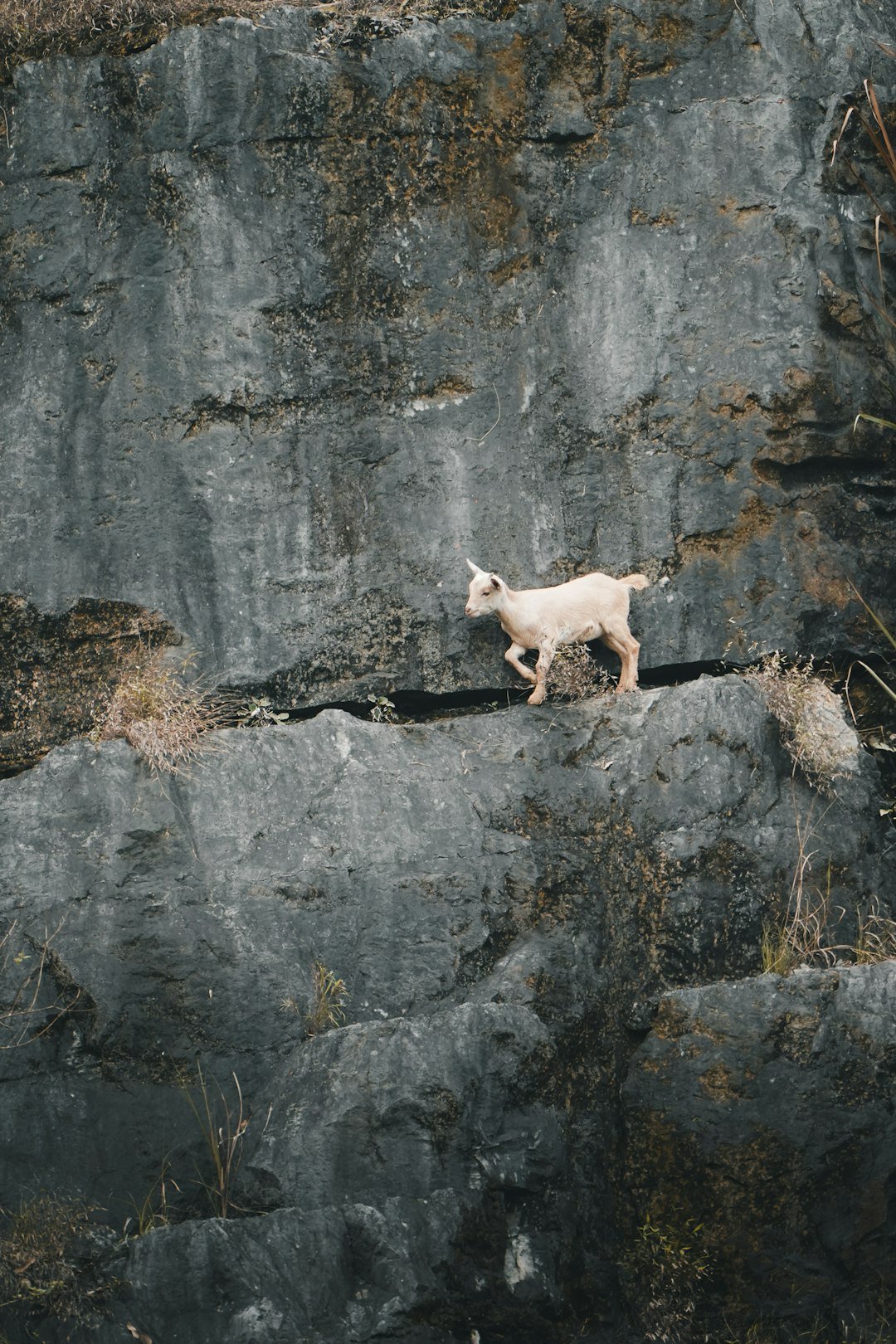 The Future Landscape (image credits: unsplash)
