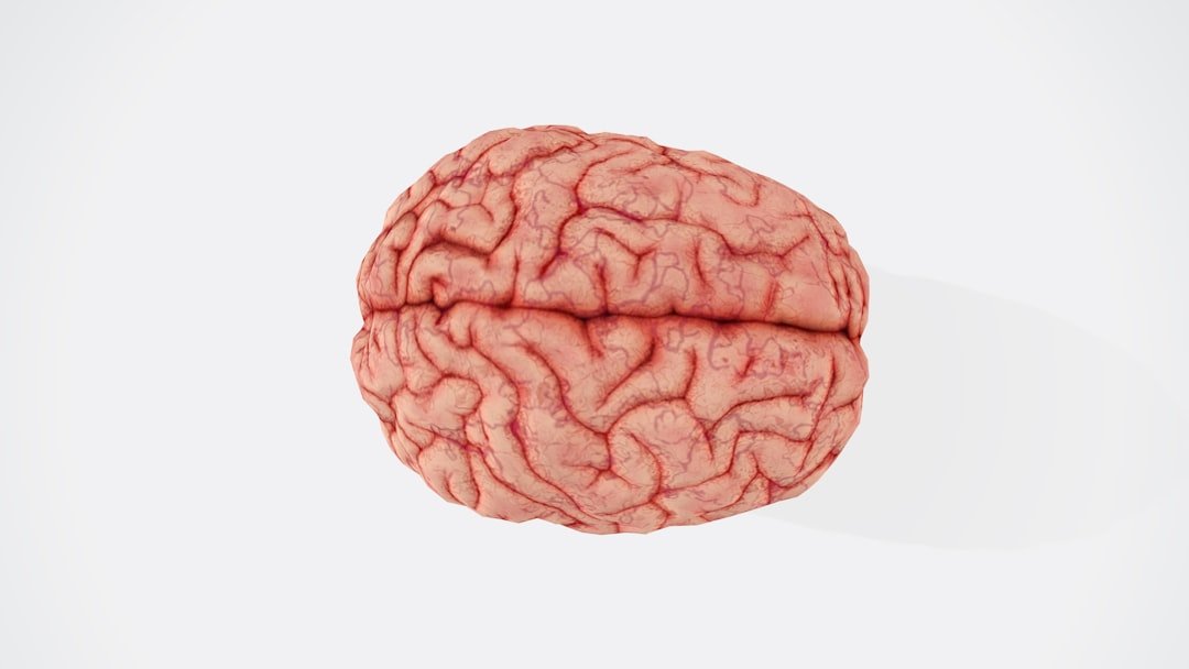 Reading Instinct Through the Brain (image credits: unsplash)