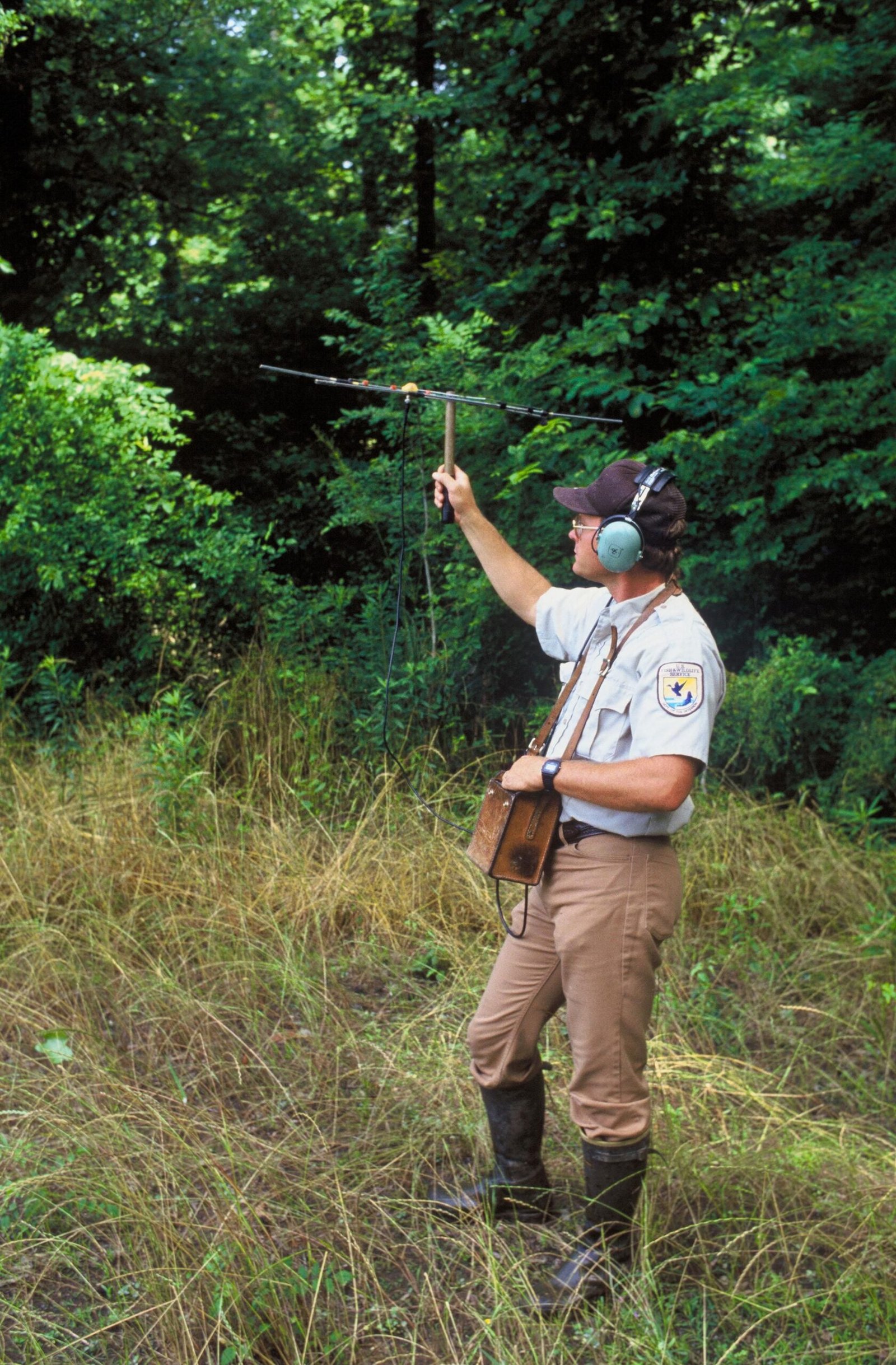 Field Evidence: Risk, Reaction, and the Senses (image credits: wikimedia)